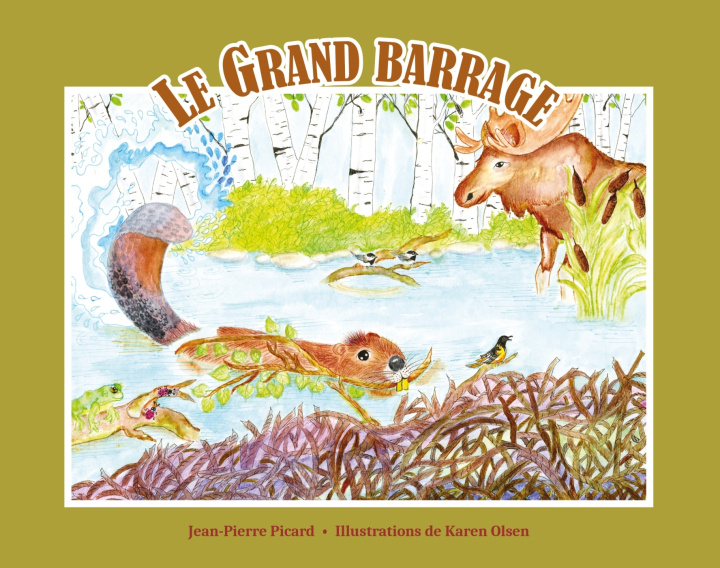Buch Le grand barrage Jean-Pierre Picard