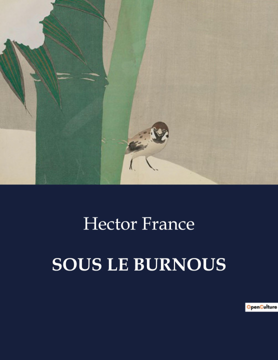 Knjiga SOUS BURNOUS FRANCE HECTOR