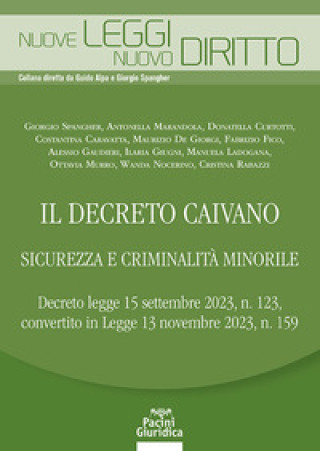 Kniha decreto Caivano. Sicurezza e criminalità minorile 