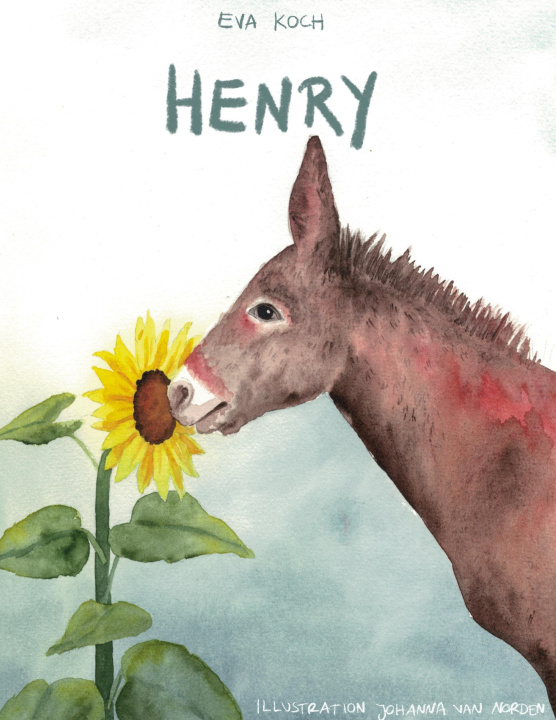 Knjiga HENRY_final Johanna van Norden