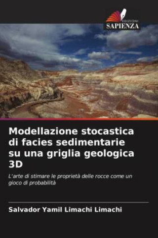 Buch Modellazione stocastica di facies sedimentarie su una griglia geologica 3D Salvador Yamil Limachi Limachi