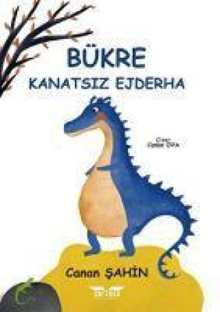 Книга Bükre - Kanatsiz Ejderha 