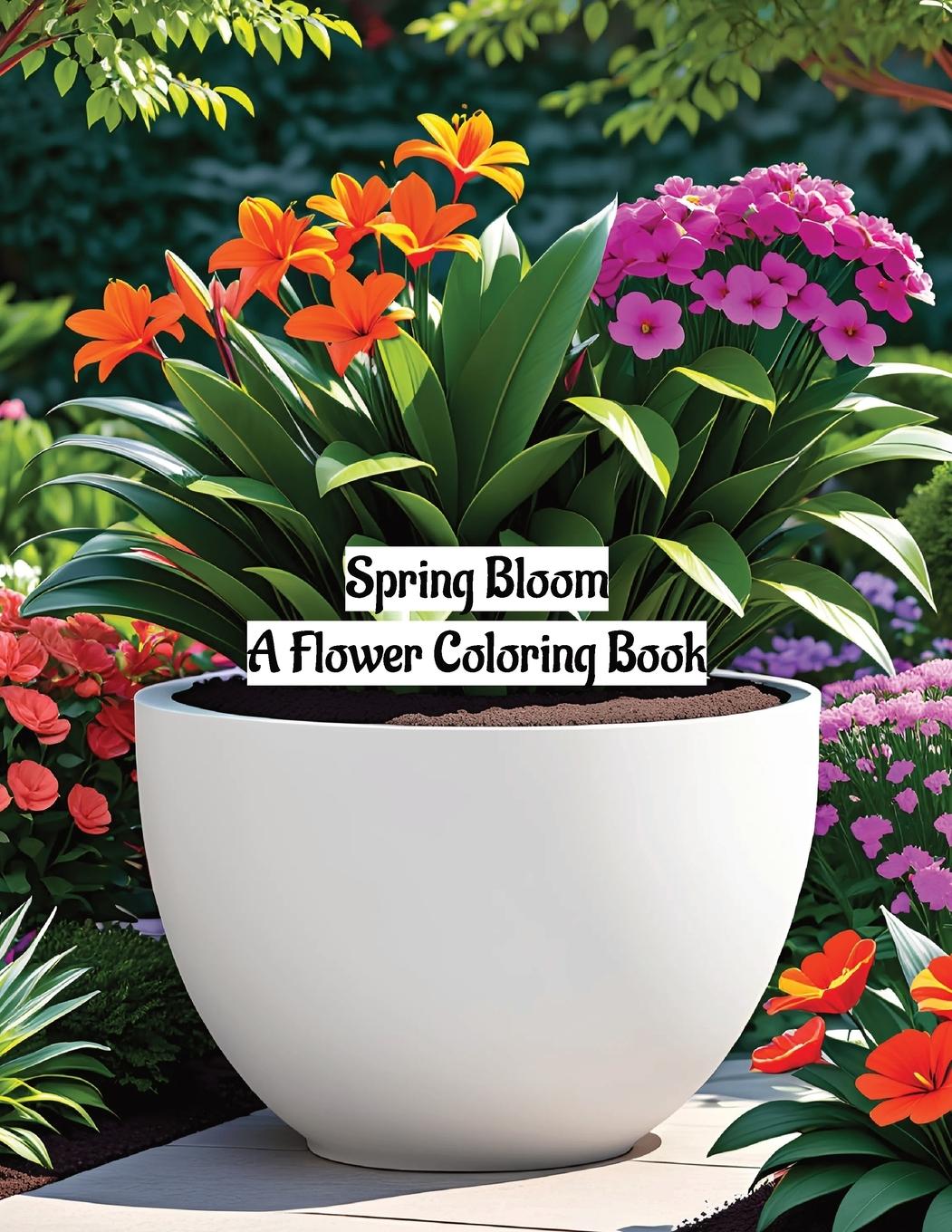 Knjiga Spring Bloom Jibril Kotita