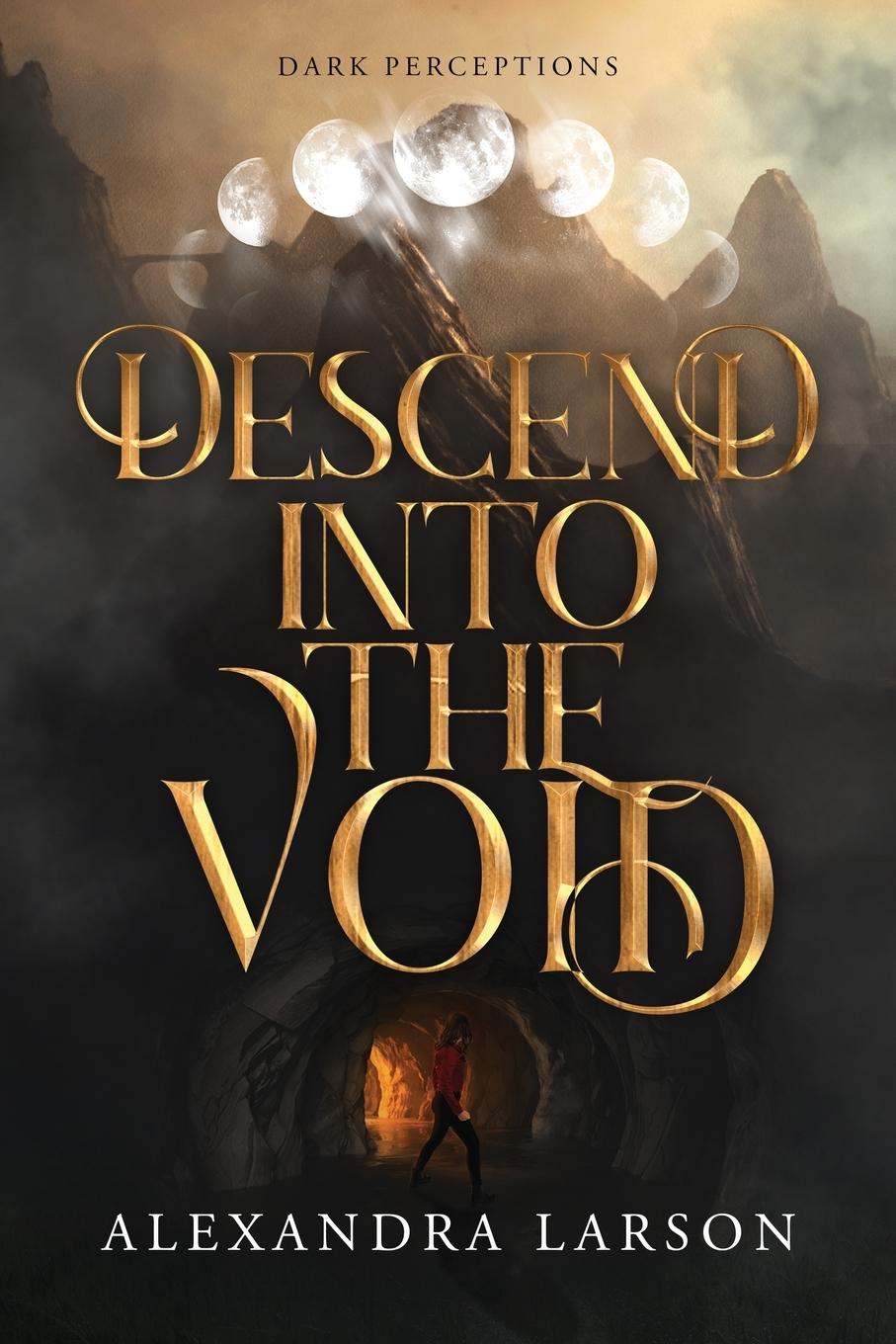 Knjiga Descend into the Void Alexandra Larson