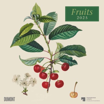 Calendar/Diary Fruits 2025 - Broschürenkalender - mit historischen Abbildungen alter Obstsorten von Pierre Antoine Poiteau - Format 30 x 30 cm DuMont Kalenderverlag