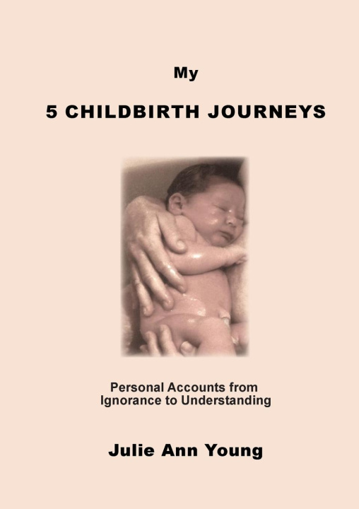 Buch My 5 Childbirth Journeys Julie Ann Young
