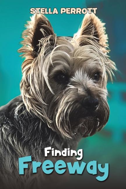 Knjiga Finding Freeway Stella Perrott