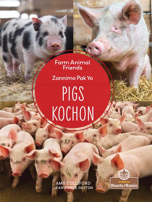 Kniha Pigs (Kochon) Bilingual Eng/Cre Jean-Pierre Gaston