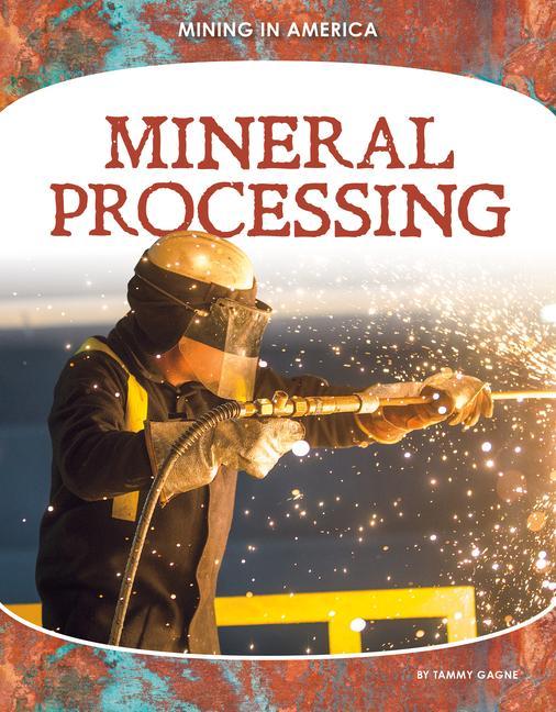 Knjiga Mineral Processing 