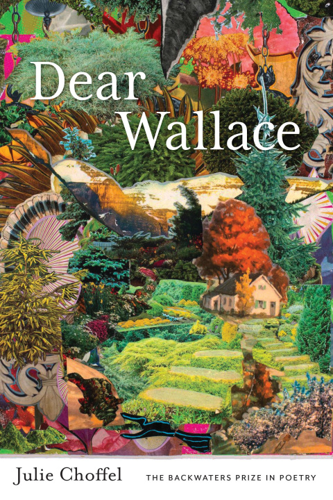Book Dear Wallace Julie Choffel