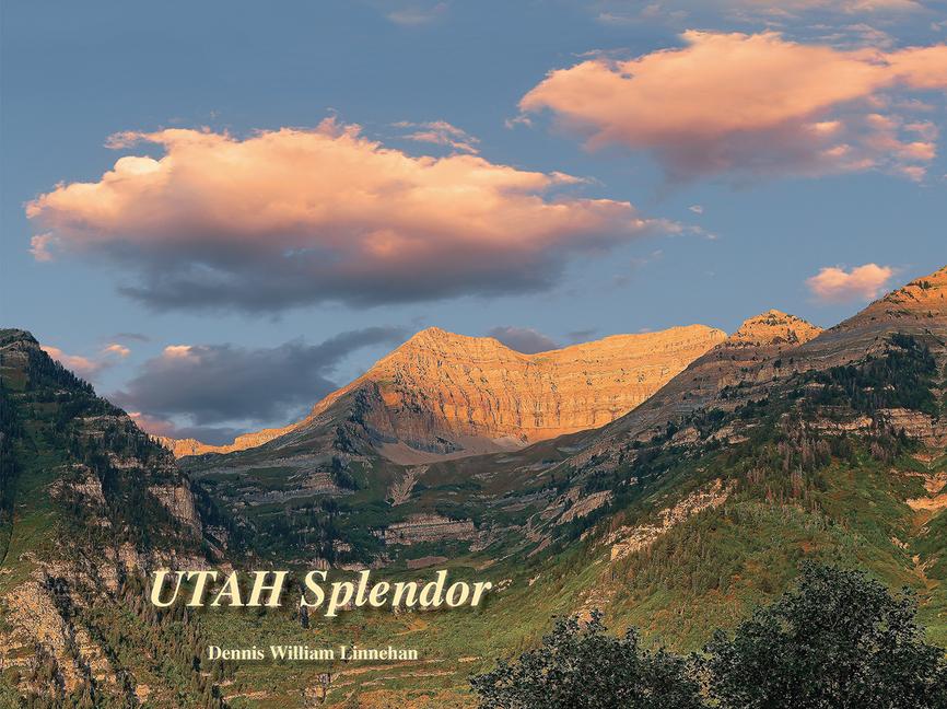 Kniha Utah Splendor 