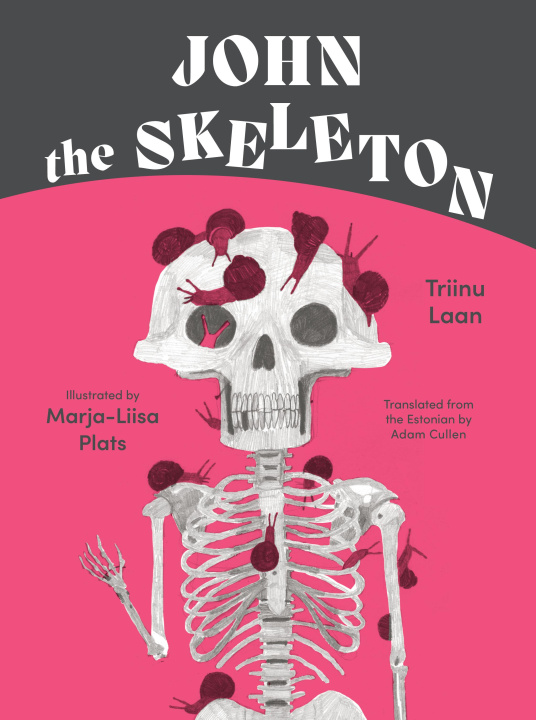 Boek John the Skeleton Marja-Liisa Plats