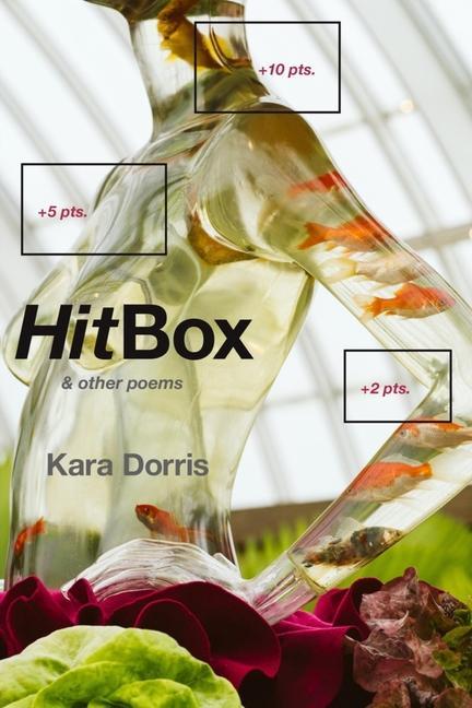 Knjiga HitBox Kara Dorris