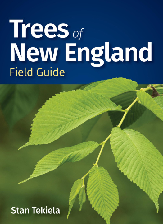 Knjiga Trees of New England Field Guide Stan Tekiela
