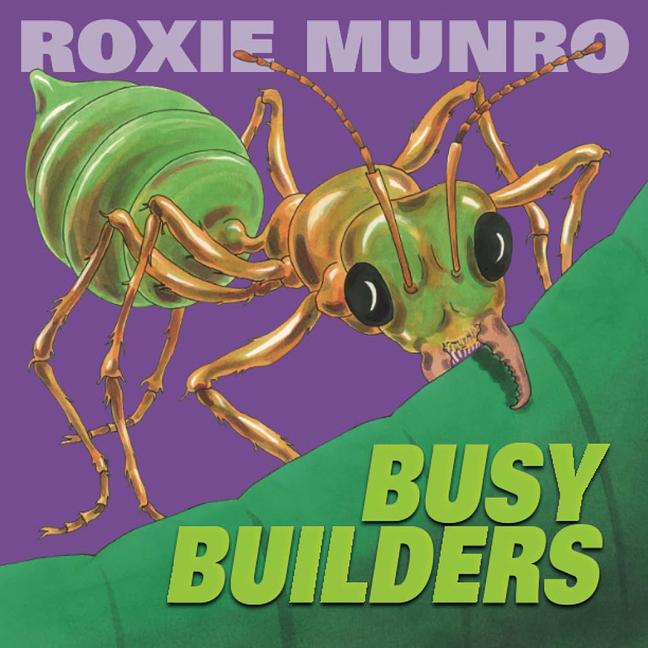 Boek Busy Builders Roxie Munro