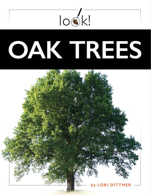 Knjiga Oak Trees Dittmer