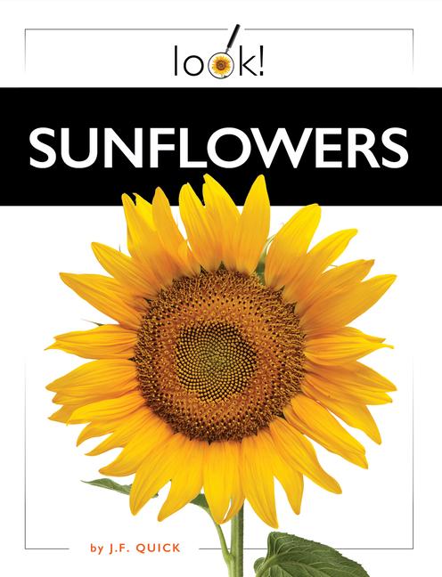 Buch Sunflowers Quick