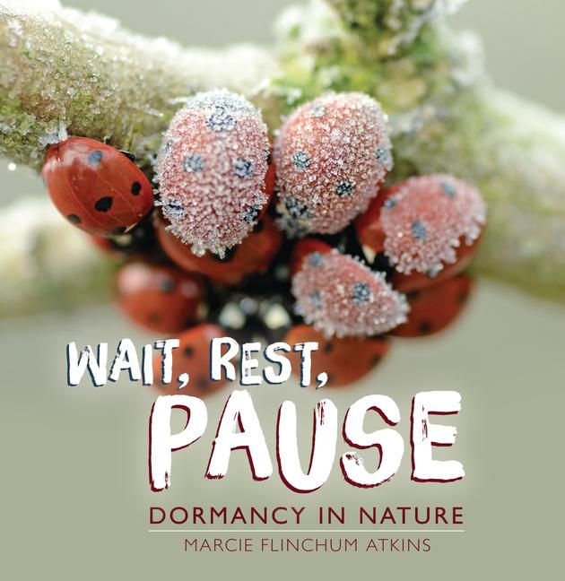 Knjiga Wait, Rest, Pause 