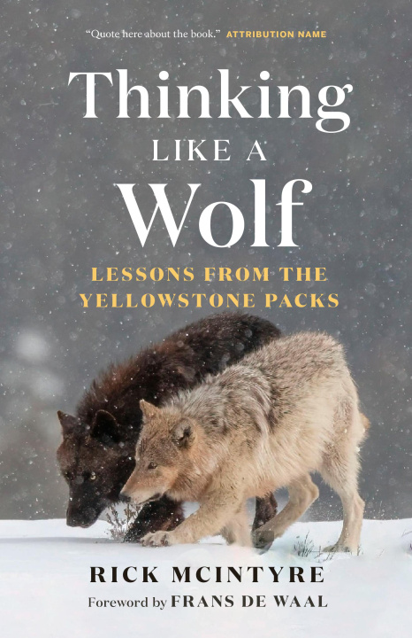 Kniha Thinking Like a Wolf 