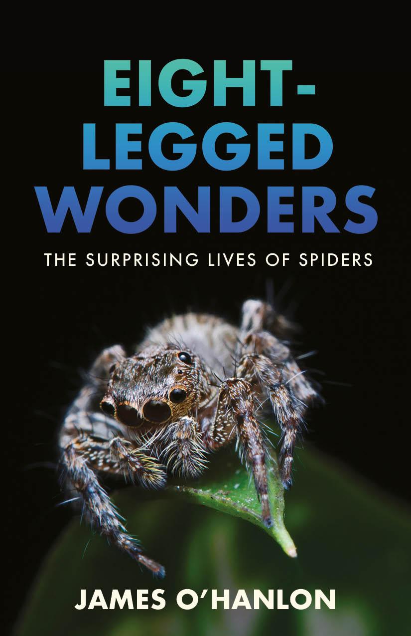 Książka Eight-Legged Wonders 