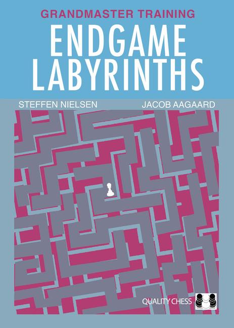 Kniha Endgame Labyrinths Steffen Nielsen