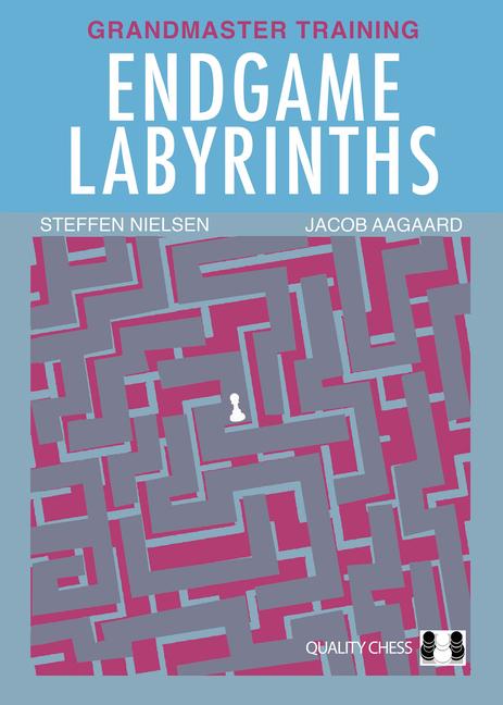 Knjiga Endgame Labyrinths Steffen Nielsen