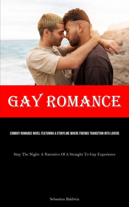 Kniha Gay Romance 