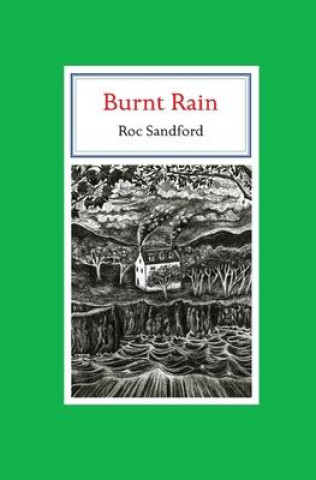 Buch Burnt Rain Roc Sandford