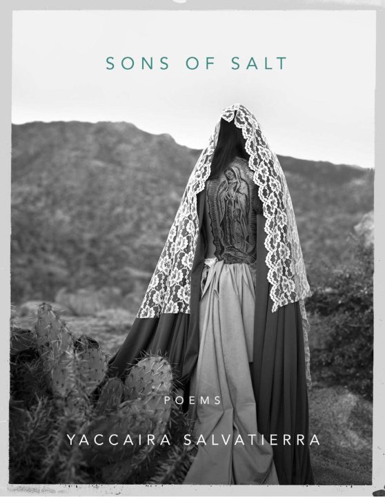 Book Sons of Salt 