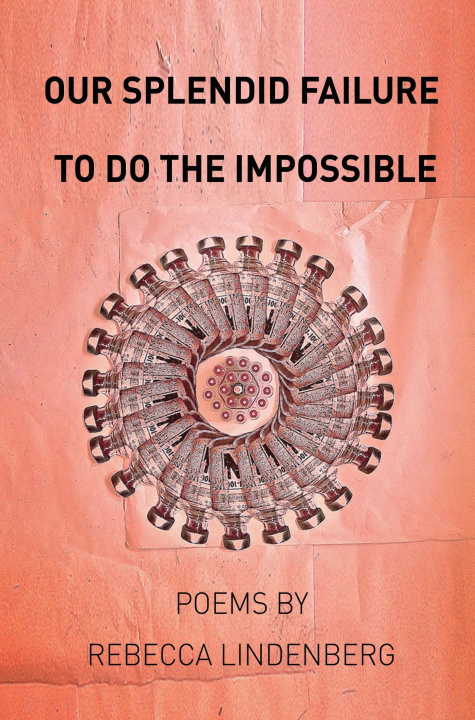 Knjiga Our Splendid Failure to Do the Impossible Rebecca Lindenberg