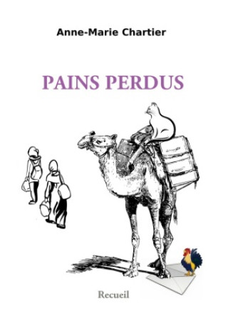 Knjiga Pains perdus Chartier