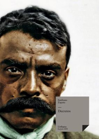 Book Decretos Emiliano Zapata
