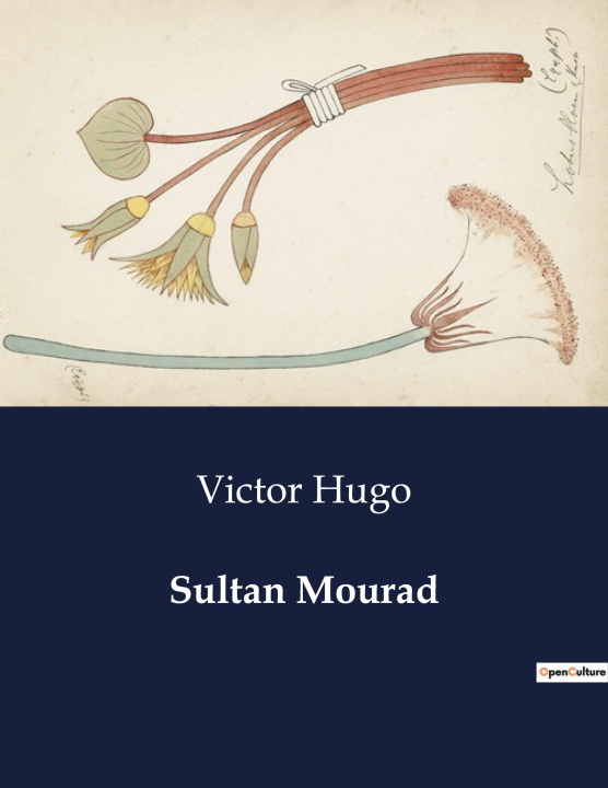 Book Sultan Mourad Hugo