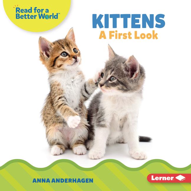 Knjiga Kittens 