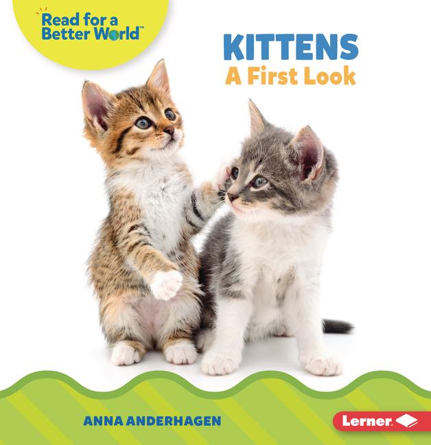 Knjiga Kittens 