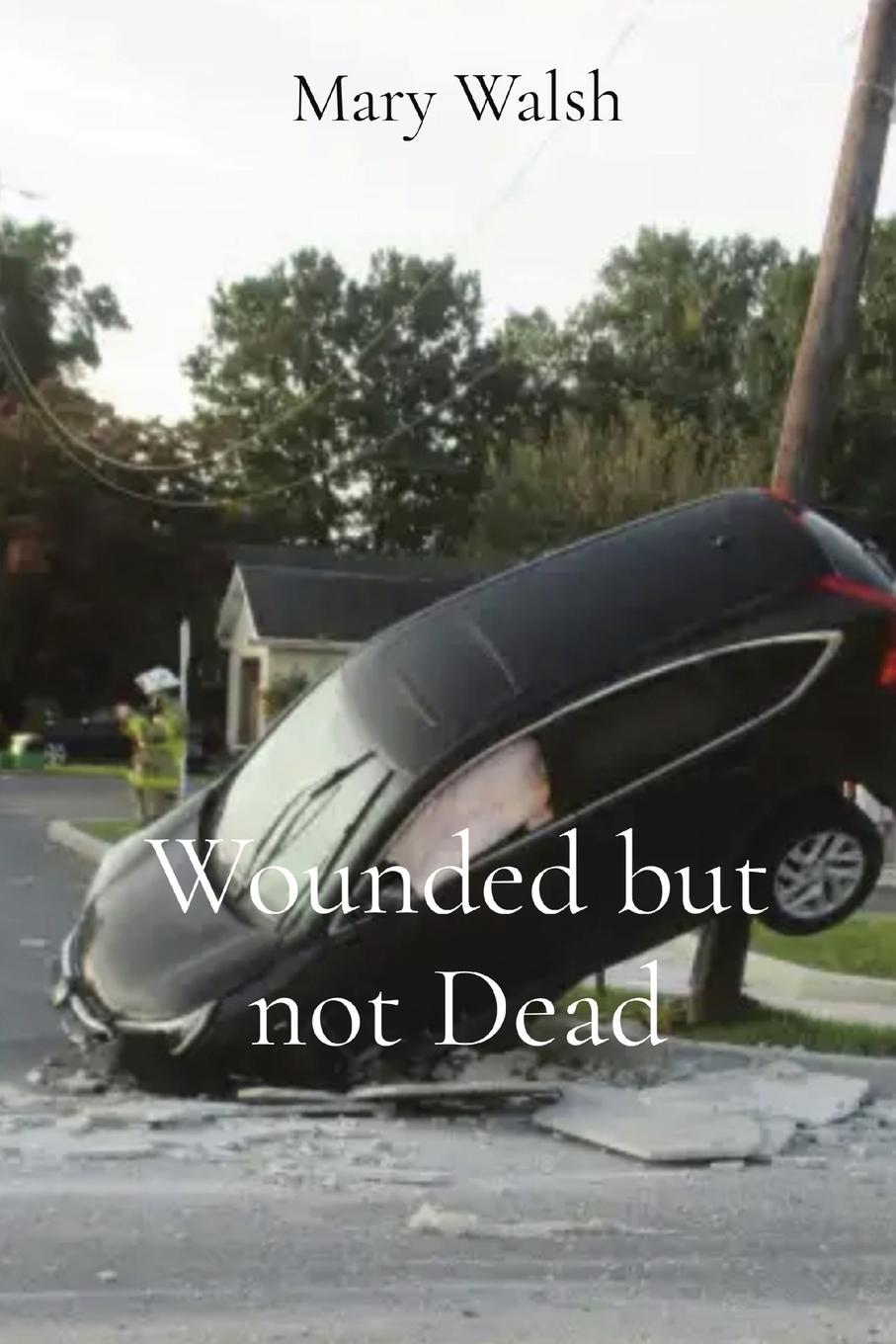 Boek Wounded but not Dead Mary Walsh