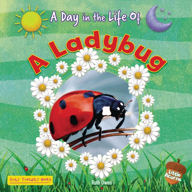 Knjiga A Ladybug 