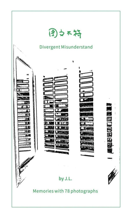Könyv Divergent Misunderstand L. J.