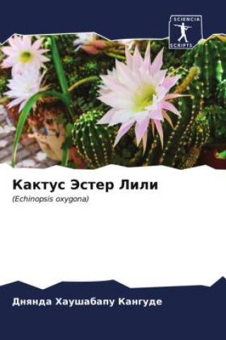 Buch Kaktus Jester Lili Dnqnda Haushabapu Kangude