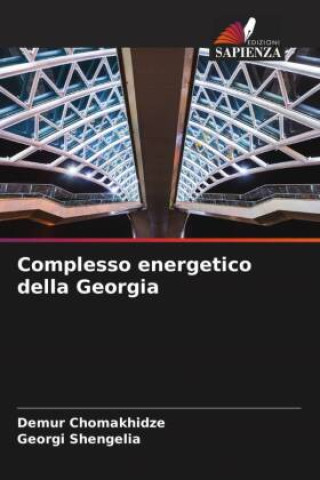 Boek Complesso energetico della Georgia Georgi Shengelia