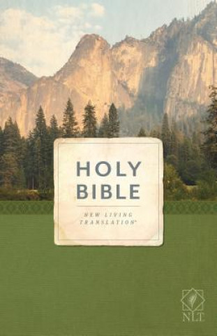 Kniha Holy Bible, Economy Outreach Edition, NLT (Softcover) 