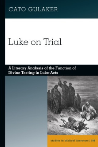 Buch Luke on Trial Cato Gulaker