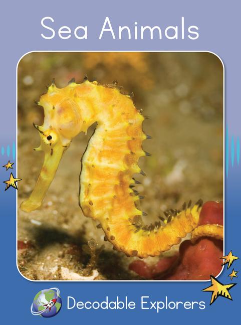 Knjiga Sea Animals 