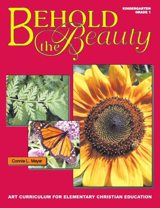 Buch Behold The Beauty Connie L. Meyer