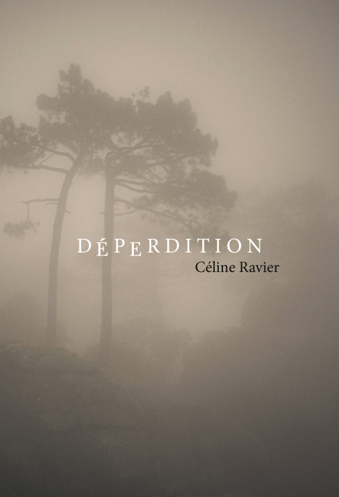 Knjiga Déperdition 