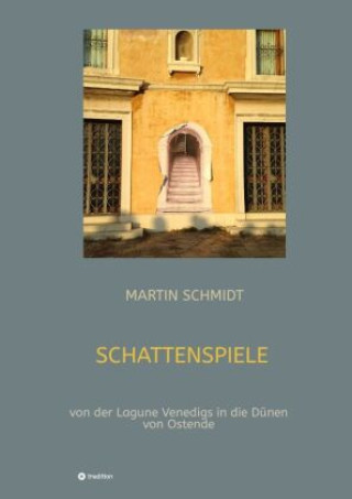 Книга Schattenspiele Martin Schmidt