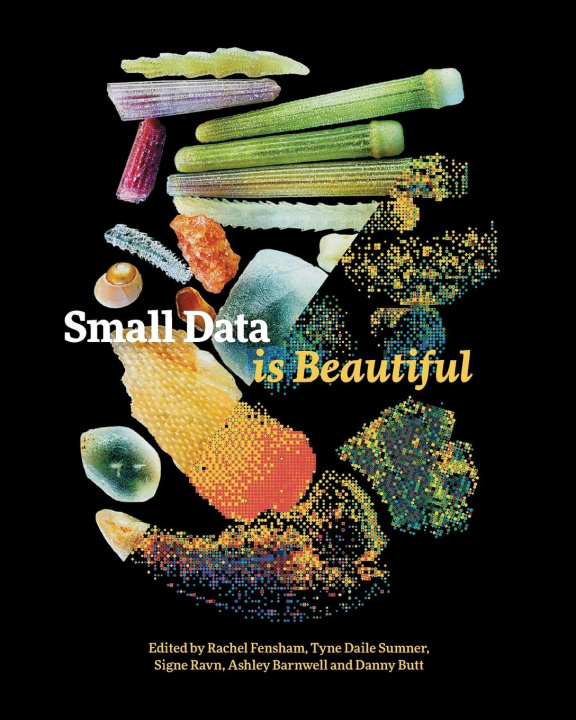 Knjiga Small Data is Beautiful Rachel Fensham