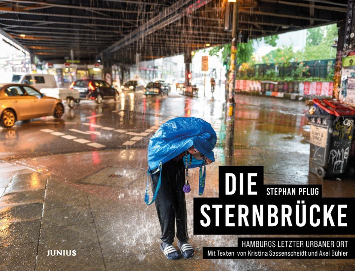 Buch Die Sternbru?cke Kristina Sassenscheidt