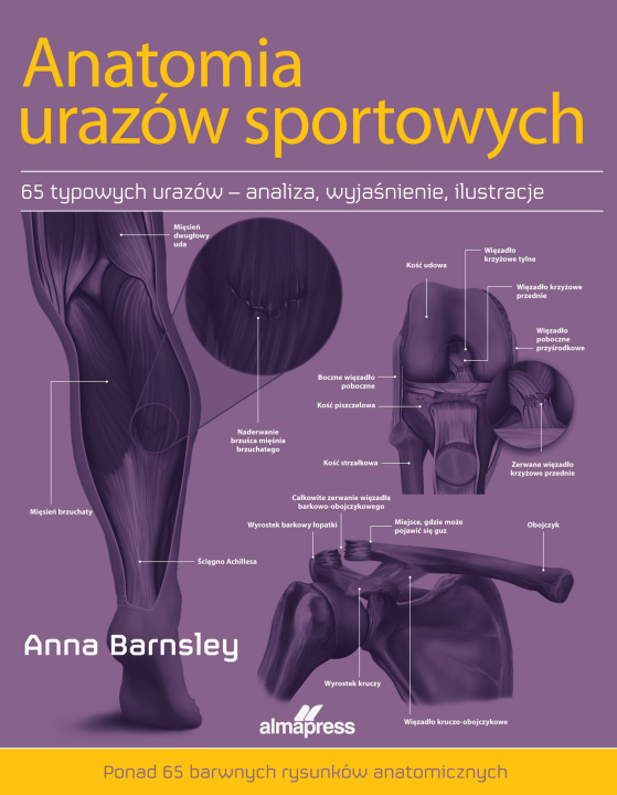 Książka Anatomia urazów sportowych Ayranova Sophia