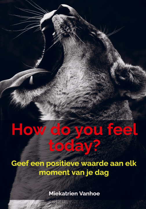 Libro How do you feel today? 
